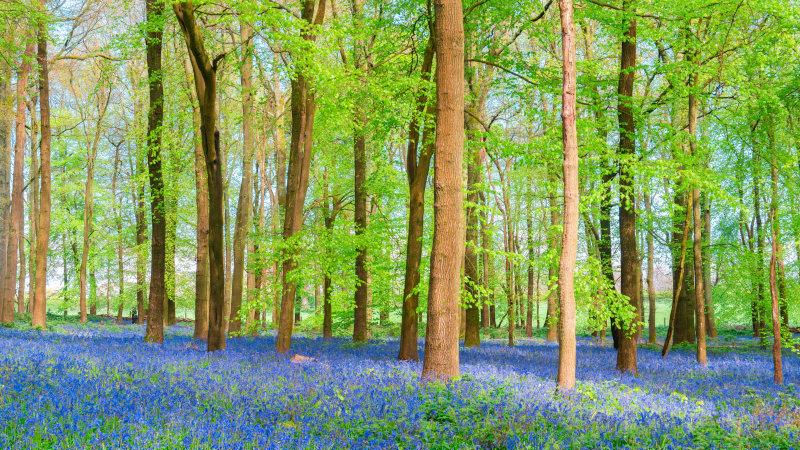 Spring Has Sprung! Renew Your Vision for the Future this Season