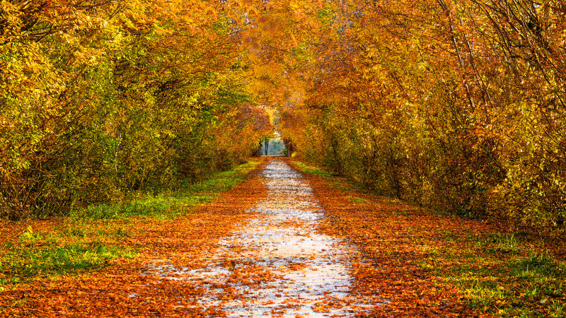 We are Thankful for You This Thanksgiving Season